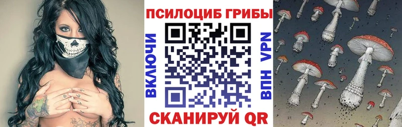Купить где Кяхта Галлюциногенные грибы прущие грибы