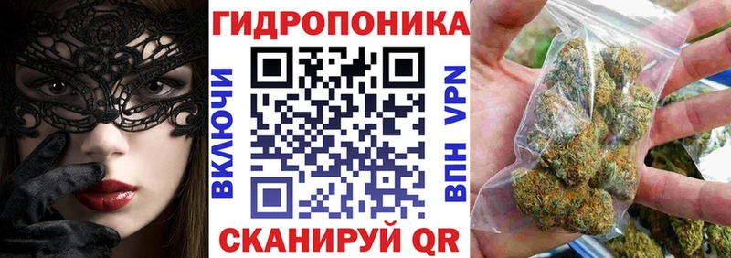 Конопля OG Kush  Купить где  Кяхта 